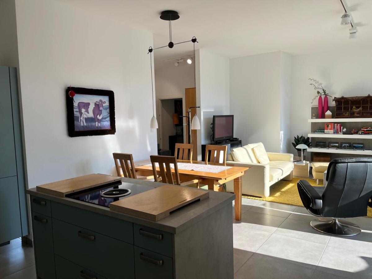 Sonnige Wohnung Im Herzen Von Buehl Buitenkant foto
